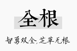 全根名字的寓意及含义