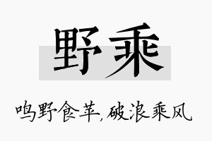 野乘名字的寓意及含义