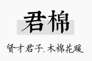 君棉名字的寓意及含义