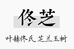 佟芝名字的寓意及含义