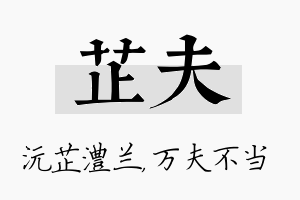 芷夫名字的寓意及含义