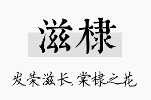 滋棣名字的寓意及含义