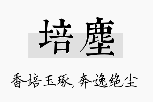 培尘名字的寓意及含义