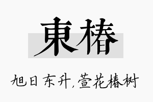 东椿名字的寓意及含义