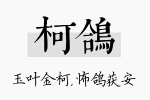 柯鸽名字的寓意及含义