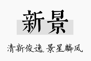 新景名字的寓意及含义