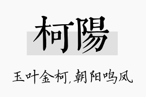 柯阳名字的寓意及含义