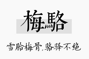 梅骆名字的寓意及含义