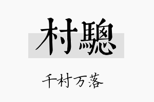 村骢名字的寓意及含义