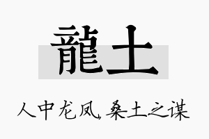 龙土名字的寓意及含义