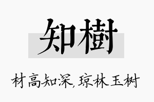 知树名字的寓意及含义