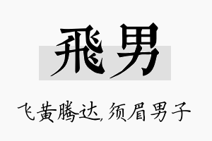 飞男名字的寓意及含义