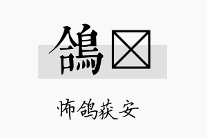 鸽勍名字的寓意及含义