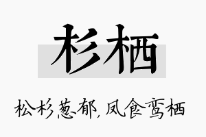 杉栖名字的寓意及含义