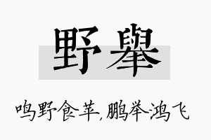 野举名字的寓意及含义