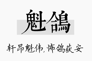 魁鸽名字的寓意及含义