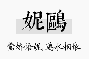 妮鸥名字的寓意及含义