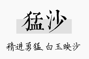 猛沙名字的寓意及含义