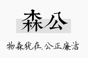 森公名字的寓意及含义