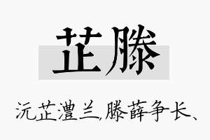 芷滕名字的寓意及含义