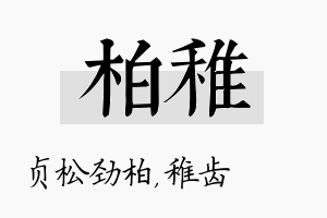 柏稚名字的寓意及含义