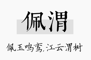 佩渭名字的寓意及含义