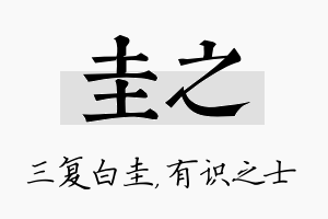 圭之名字的寓意及含义