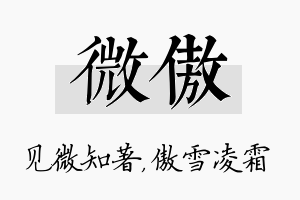 微傲名字的寓意及含义