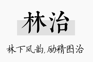 林治名字的寓意及含义