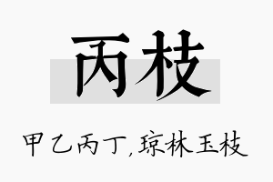 丙枝名字的寓意及含义