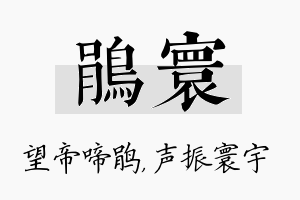 鹃寰名字的寓意及含义