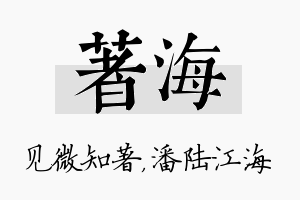 著海名字的寓意及含义