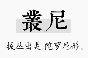 丛尼名字的寓意及含义