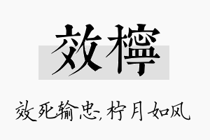 效柠名字的寓意及含义