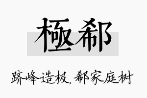 极郗名字的寓意及含义