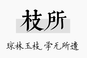 枝所名字的寓意及含义