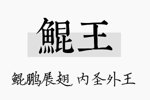 鲲王名字的寓意及含义