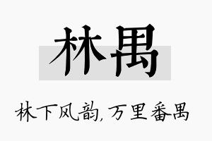 林禺名字的寓意及含义