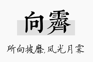 向霁名字的寓意及含义