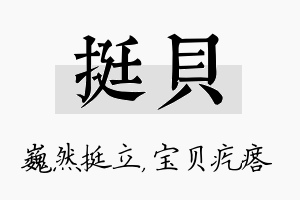 挺贝名字的寓意及含义