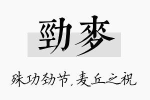 劲麦名字的寓意及含义