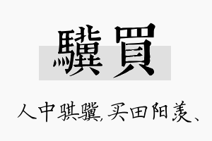 骥买名字的寓意及含义