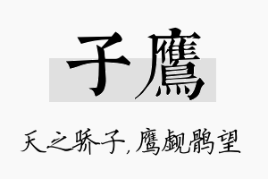 子鹰名字的寓意及含义