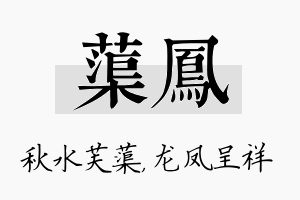 蕖凤名字的寓意及含义