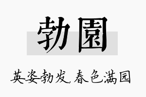 勃园名字的寓意及含义