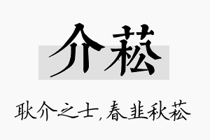 介菘名字的寓意及含义