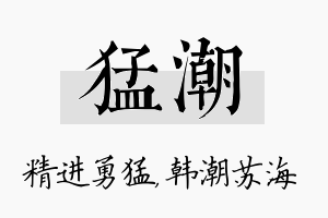 猛潮名字的寓意及含义