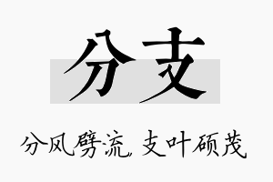 分支名字的寓意及含义