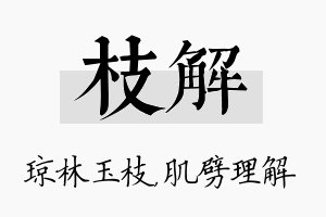 枝解名字的寓意及含义