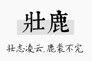 壮鹿名字的寓意及含义